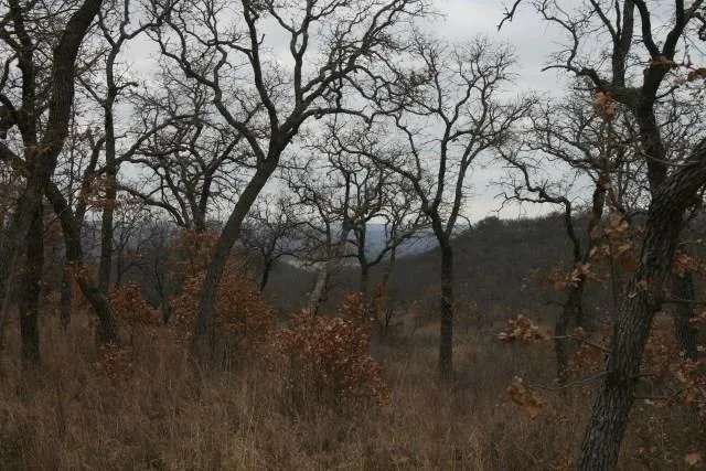 Hensley Road Gordon, TX 76453