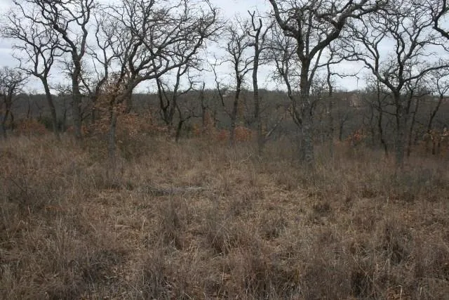 Hensley Road Gordon, TX 76453