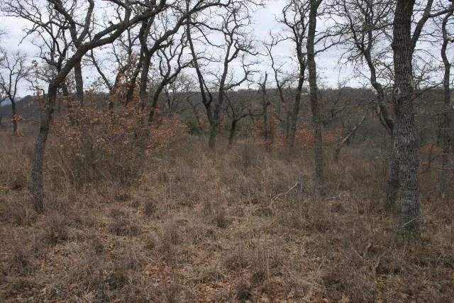 Hensley Road Gordon, TX 76453