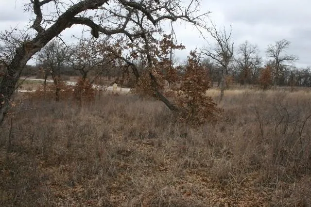 Hensley Road Gordon, TX 76453