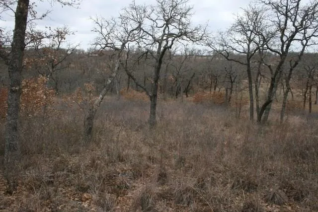 Hensley Road Gordon, TX 76453