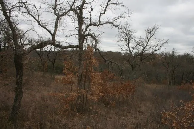 Hensley Road Gordon, TX 76453