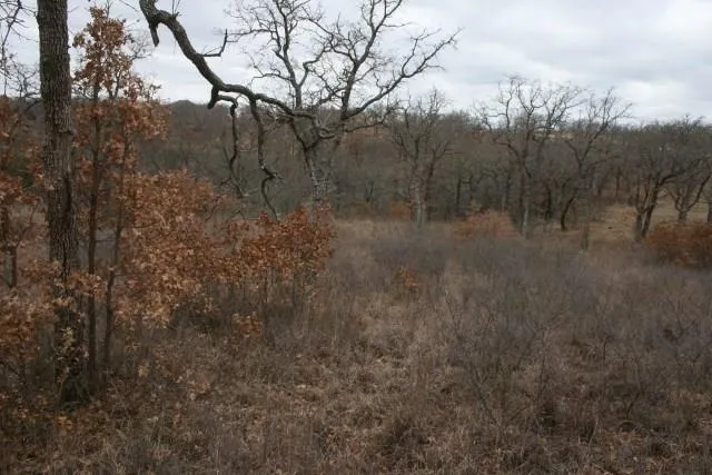Hensley Road Gordon, TX 76453