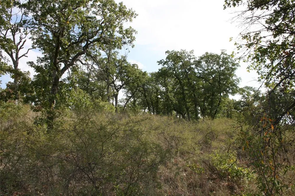 Hensley Road Gordon, TX 76453