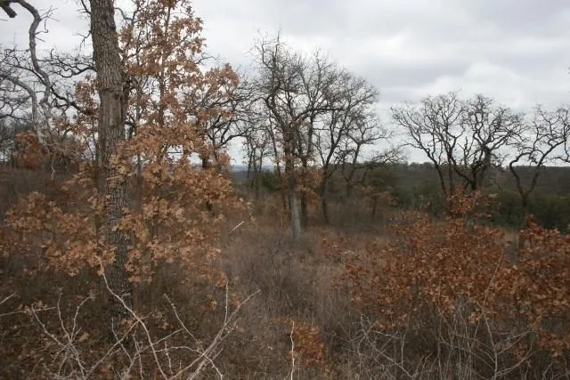 Hensley Road Gordon, TX 76453