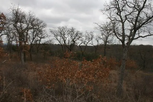 Hensley Road Gordon, TX 76453