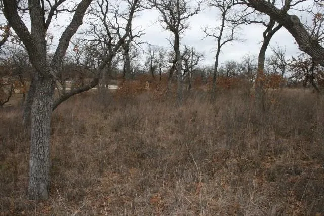 Hensley Road Gordon, TX 76453