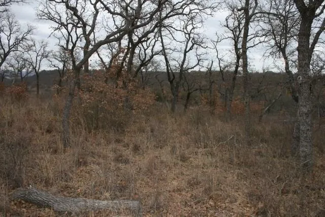 Hensley Road Gordon, TX 76453