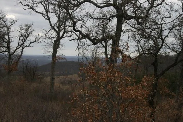 Hensley Road Gordon, TX 76453