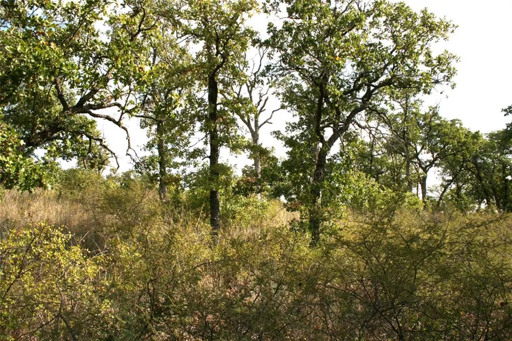 Hensley Road Gordon, TX 76453