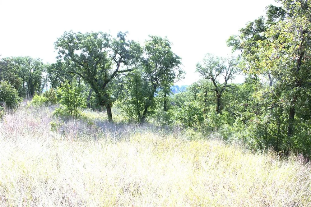 Hensley Road Gordon, TX 76453