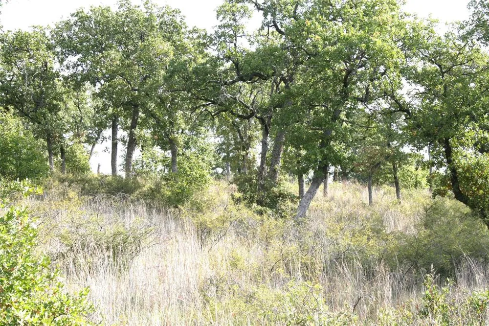 Hensley Road Gordon, TX 76453