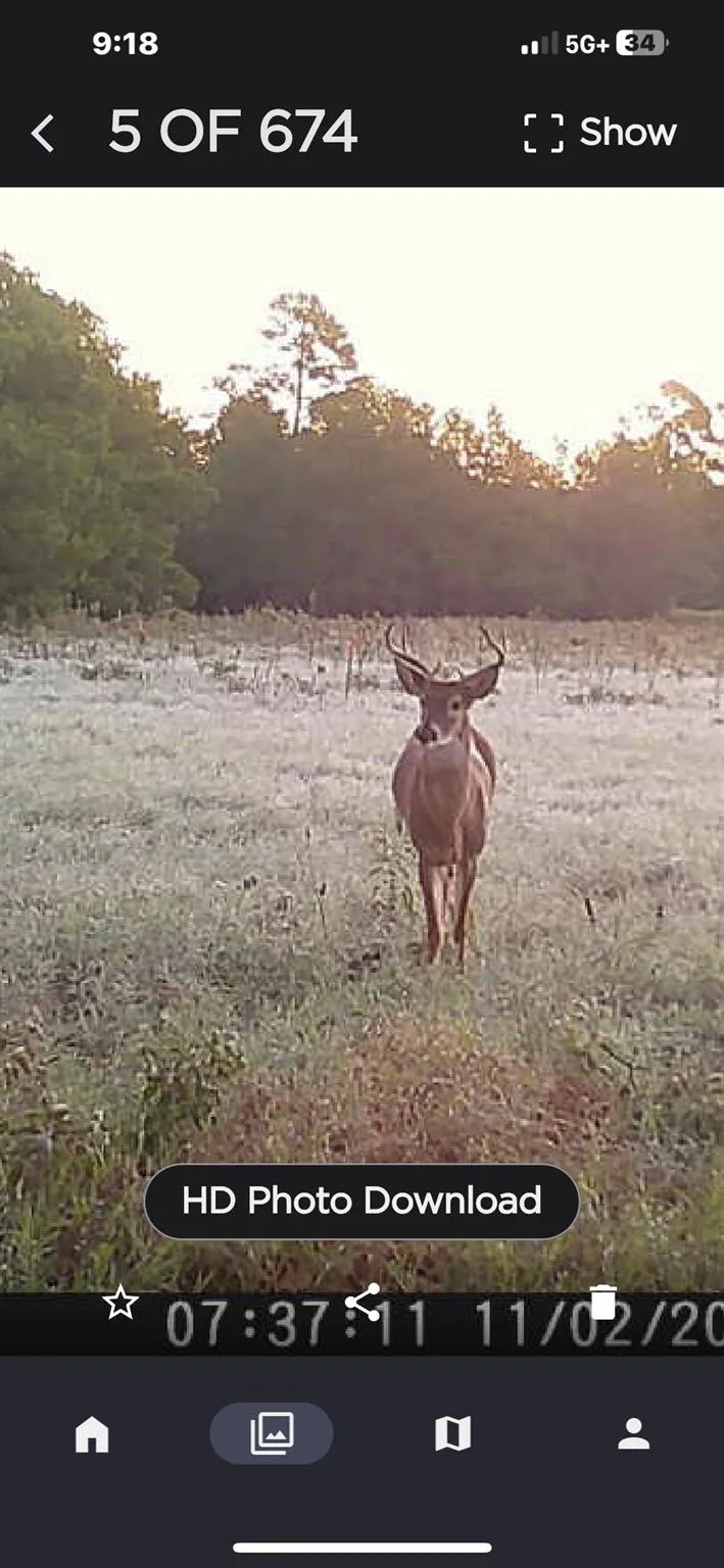 Pr 1316 Centerville, TX 75833