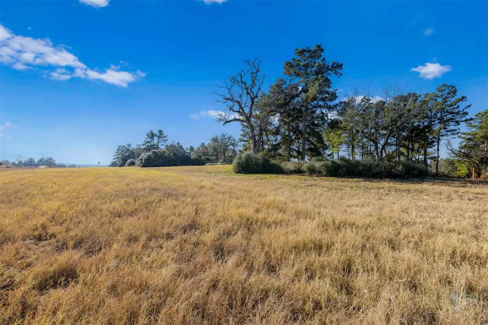 Pr 1316 Centerville, TX 75833