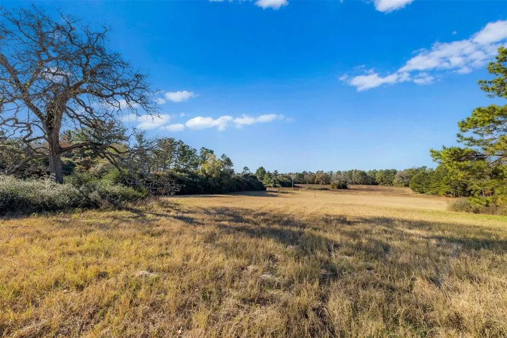 Pr 1316 Centerville, TX 75833