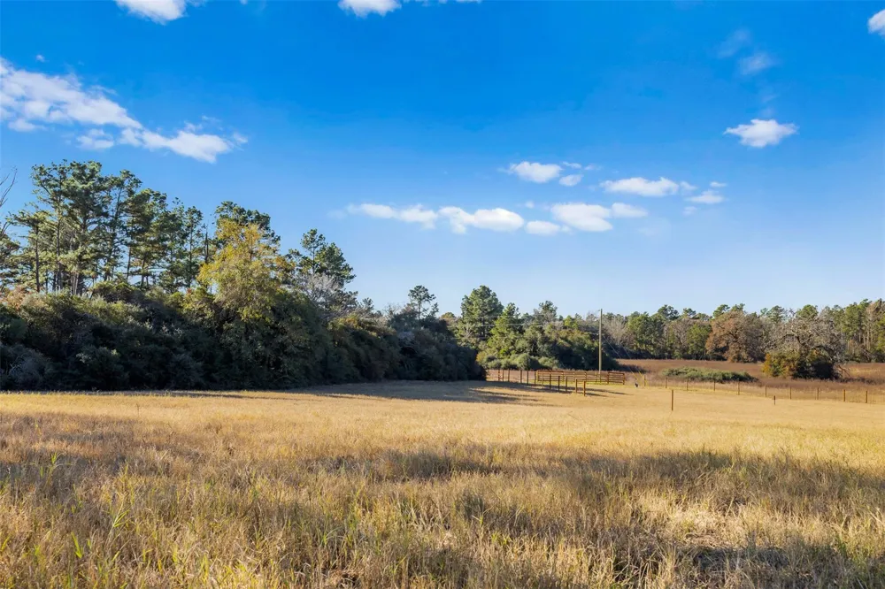 Pr 1316 Centerville, TX 75833