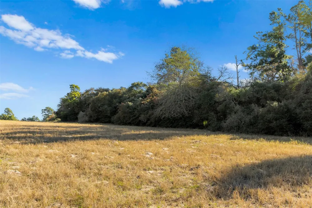 Pr 1316 Centerville, TX 75833