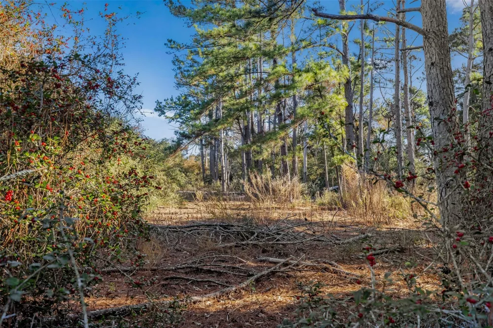 Pr 1316 Centerville, TX 75833