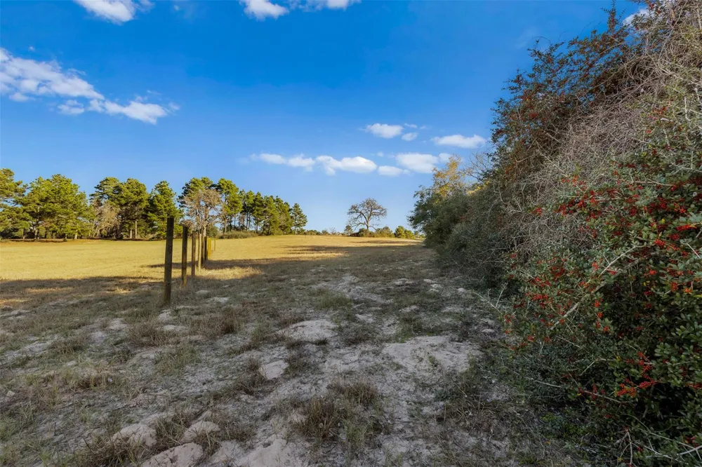 Pr 1316 Centerville, TX 75833