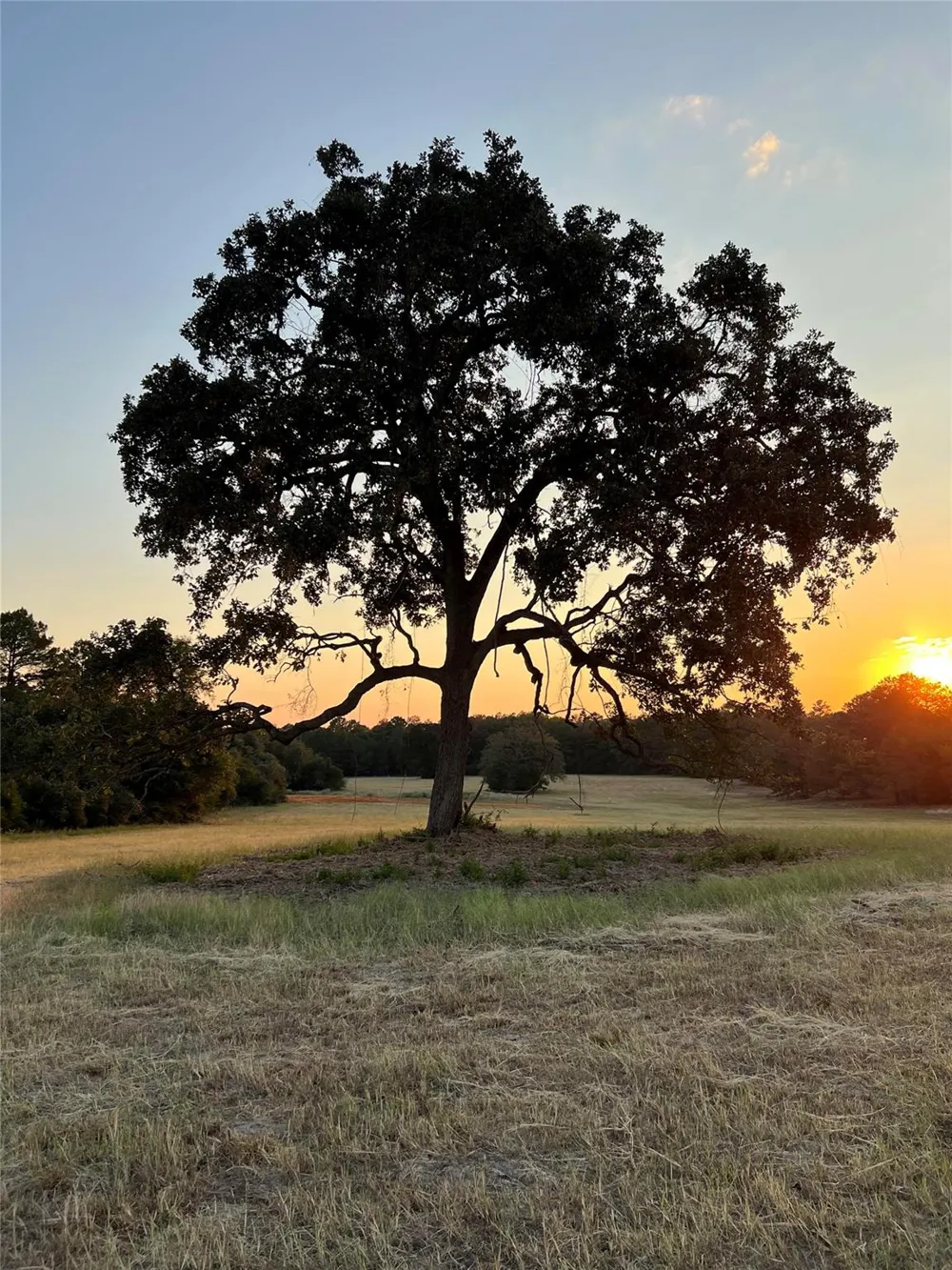 Pr 1316 Centerville, TX 75833