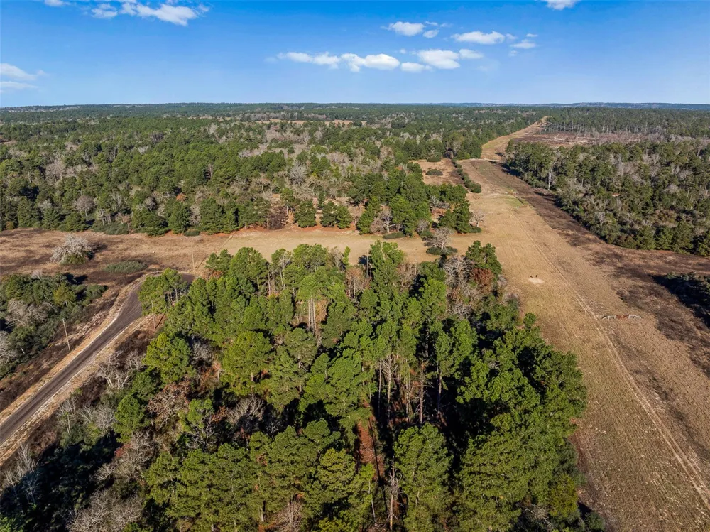 Pr 1316 Centerville, TX 75833