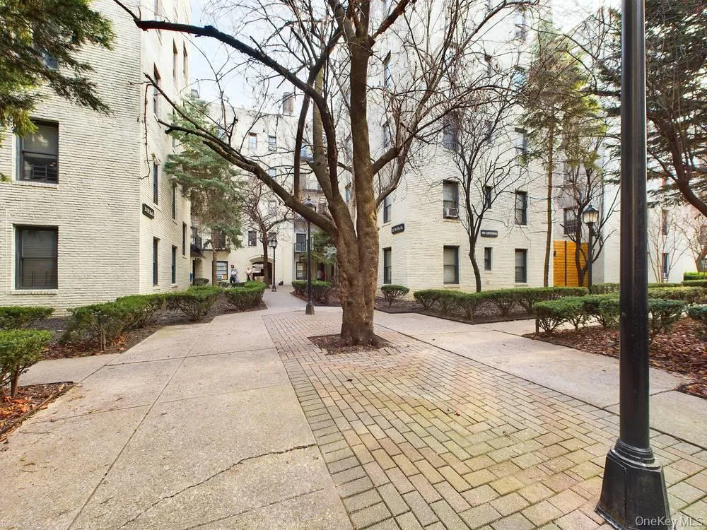 21-58 35 street #1E Astoria, NY 11105