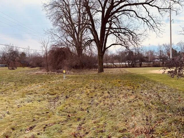 Shirley Drive Jackson, MI 49202