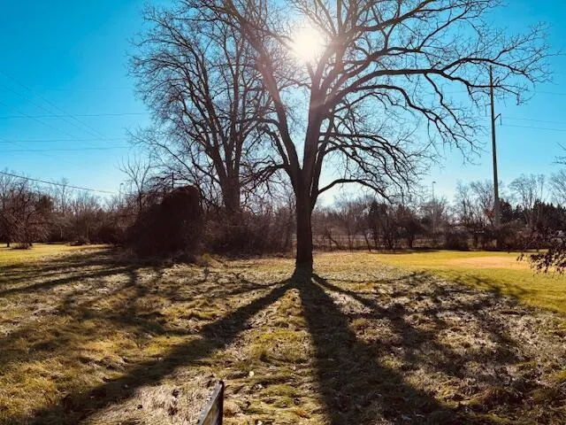Shirley Drive Jackson, MI 49202