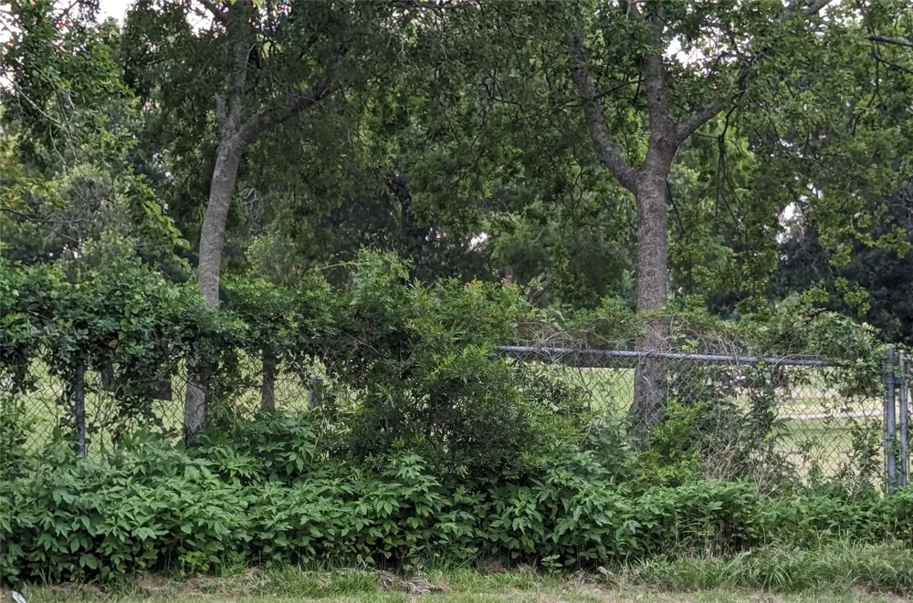 S Broadway Street La Porte, TX 77571
