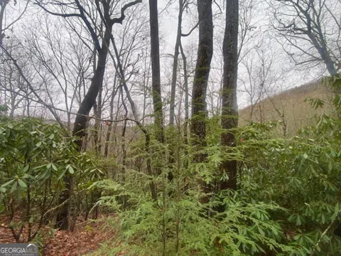 LOT 17 Ridgepole DR
