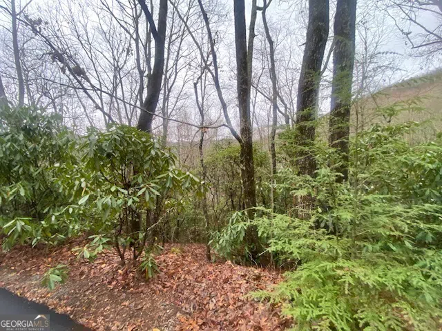 LOT 17 Ridgepole DR Sky Valley, GA 30537