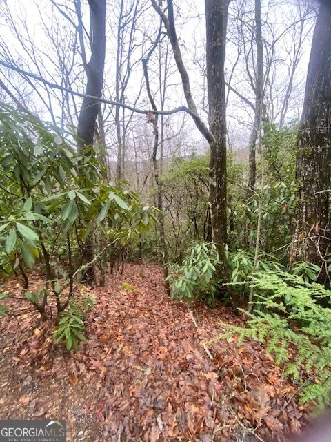 LOT 17 Ridgepole DR Sky Valley, GA 30537