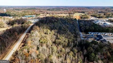 0 US Highway 441