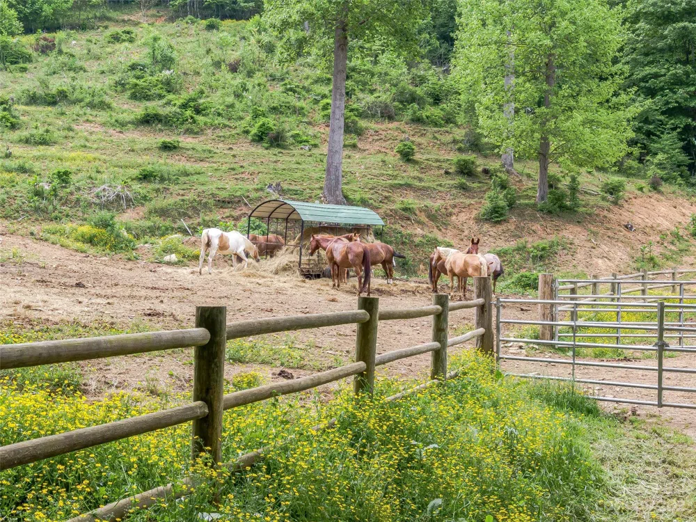 Lot 11 Settlement Way Mars Hill, NC 28754