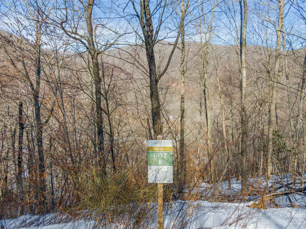 Lot 8 Settlement Way Mars Hill, NC 28754