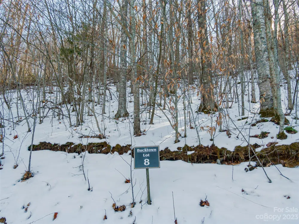 Lot 8 Settlement Way Mars Hill, NC 28754