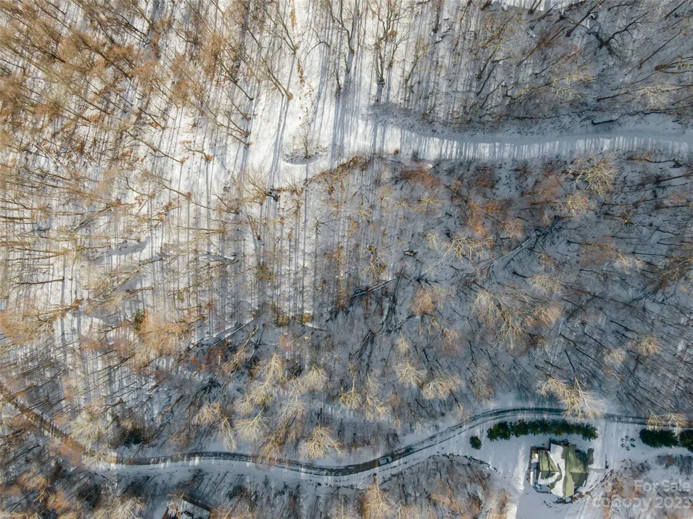 Lot 8 Settlement Way Mars Hill, NC 28754