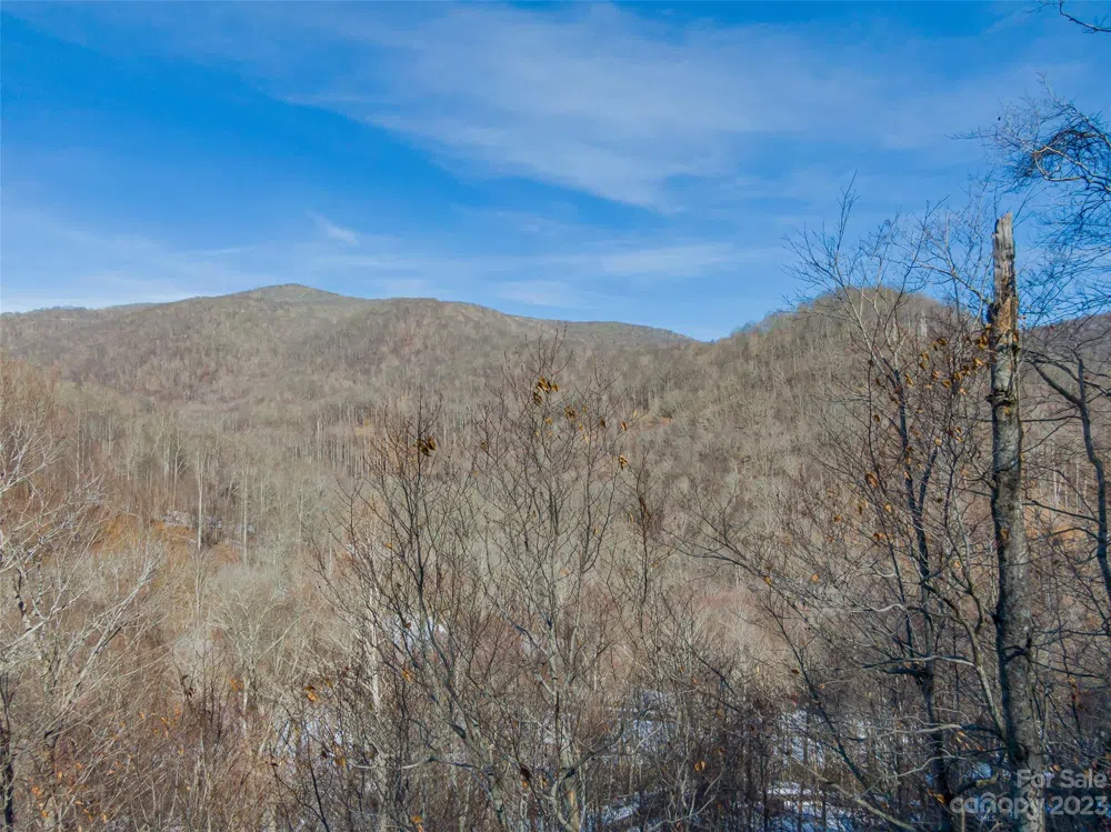 Lot 8 Settlement Way Mars Hill, NC 28754
