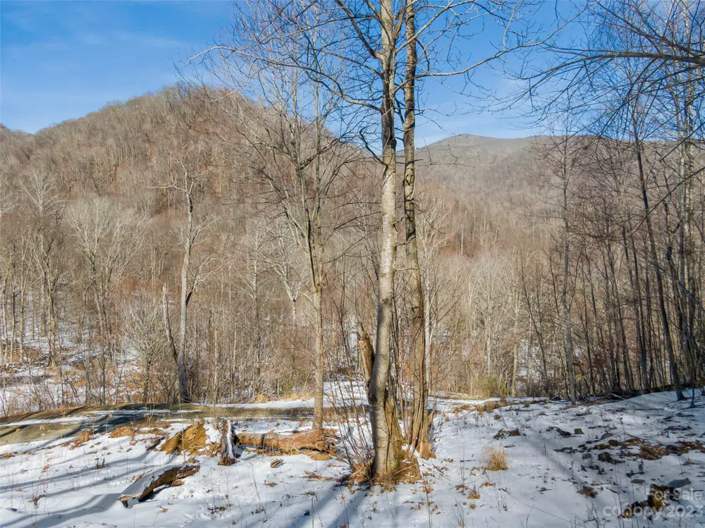 Lot 6 Settlement Way Mars Hill, NC 28754