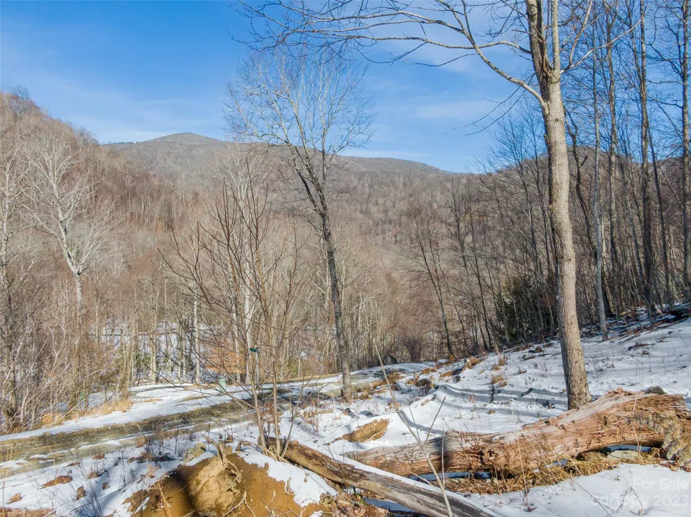 Lot 6 Settlement Way Mars Hill, NC 28754