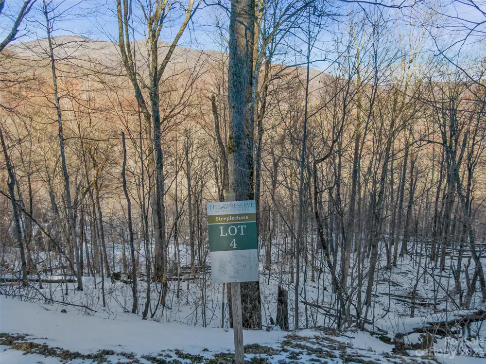 Lot 4 Mountain Gait Drive Mars Hill, NC 28754