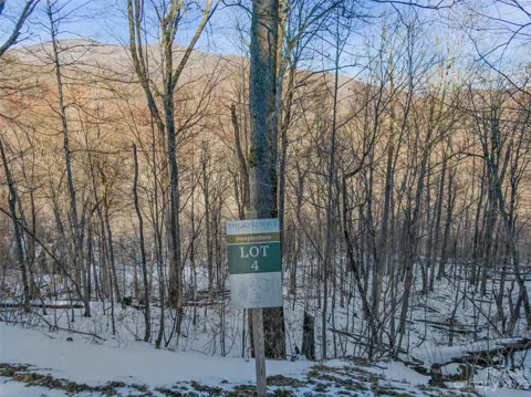 Lot 4 Mountain Gait Drive