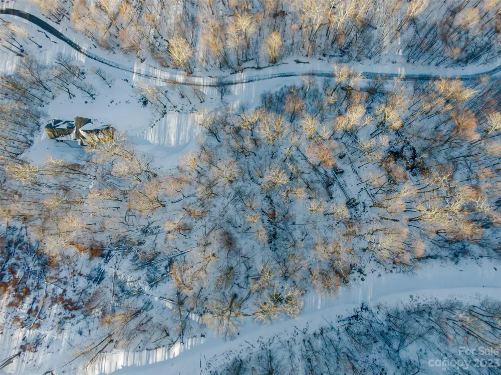 Lot 4 Mountain Gait Drive Mars Hill, NC 28754