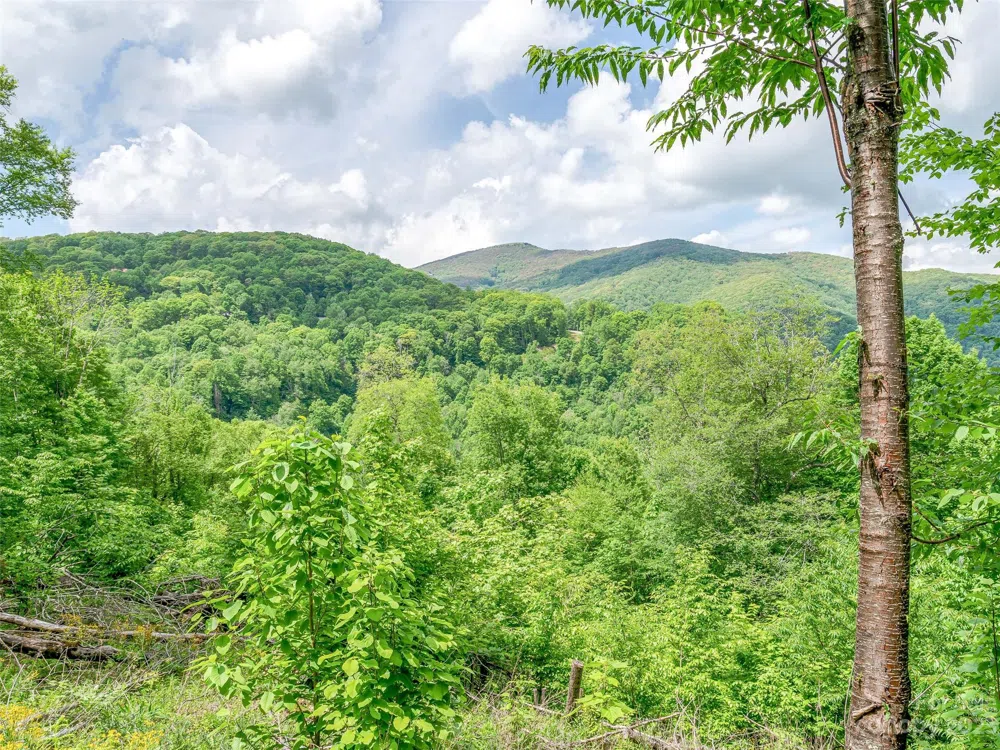 Lot 9 Mountain Gait Drive Mars Hill, NC 28754