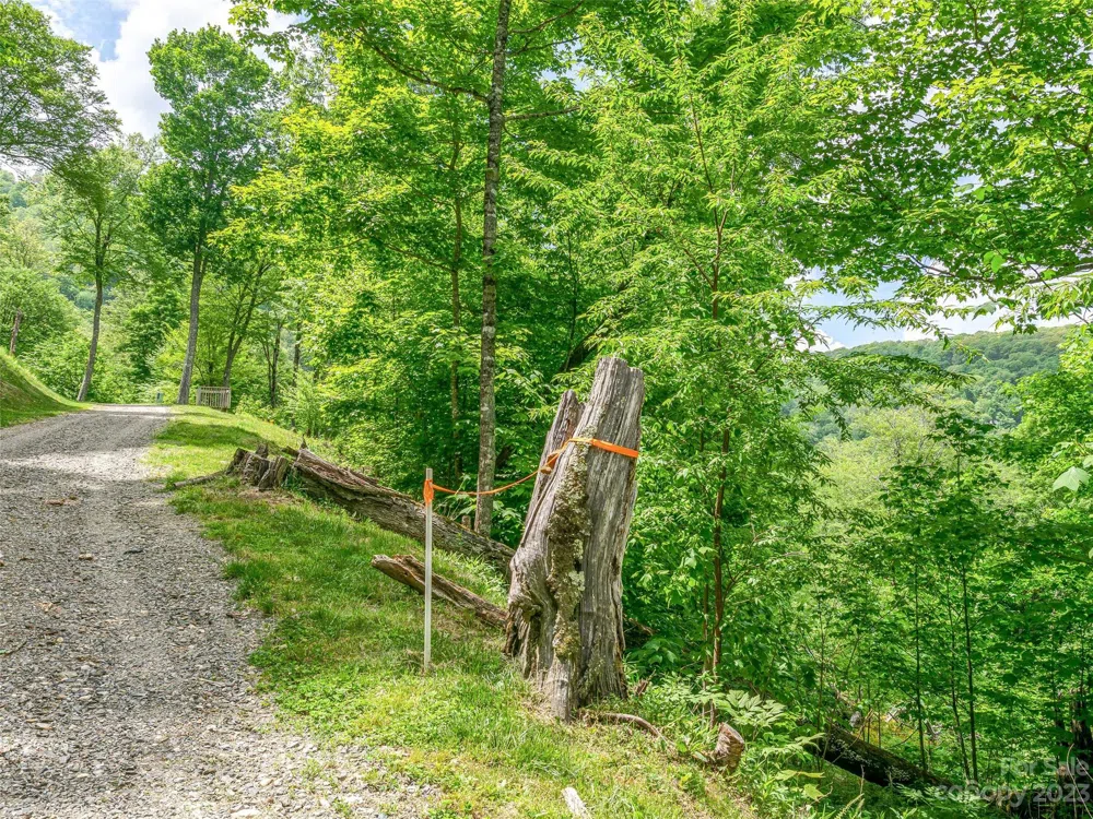 Lot 9 Mountain Gait Drive Mars Hill, NC 28754