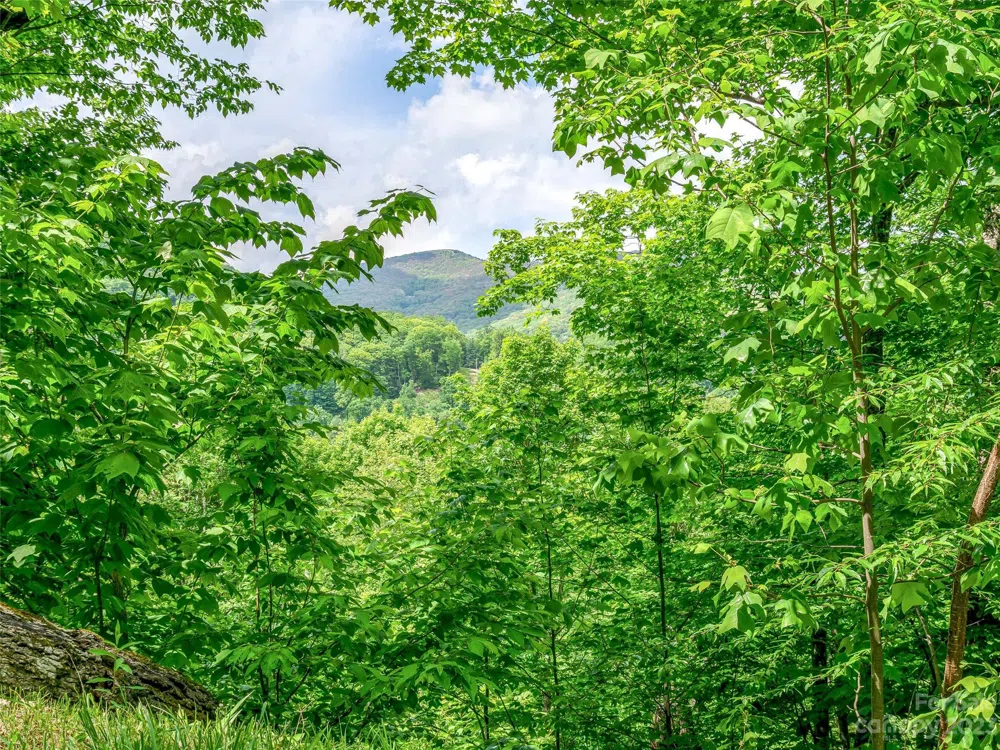Lot 9 Mountain Gait Drive Mars Hill, NC 28754