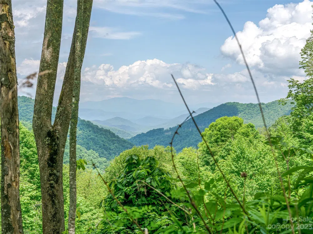 Lot 9 Mountain Gait Drive Mars Hill, NC 28754