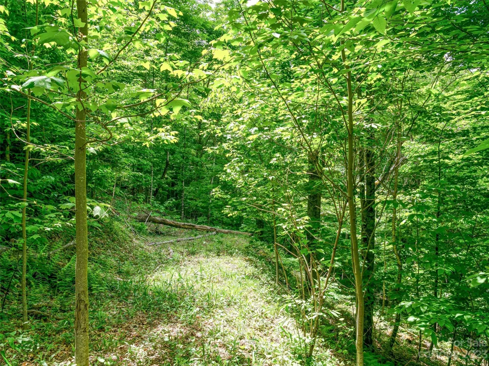 Lot 9 Mountain Gait Drive Mars Hill, NC 28754