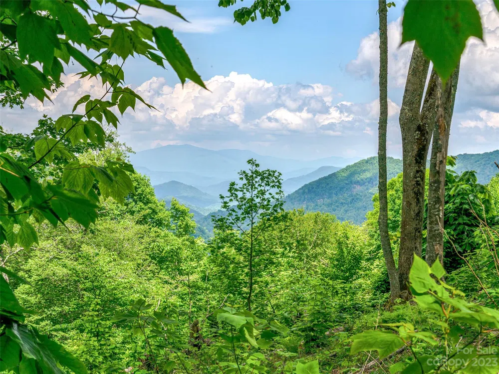 Lot 9 Mountain Gait Drive Mars Hill, NC 28754