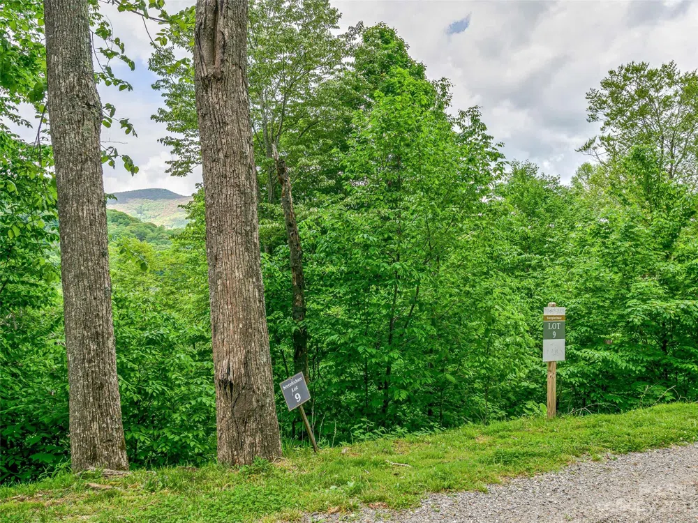 Lot 9 Mountain Gait Drive Mars Hill, NC 28754